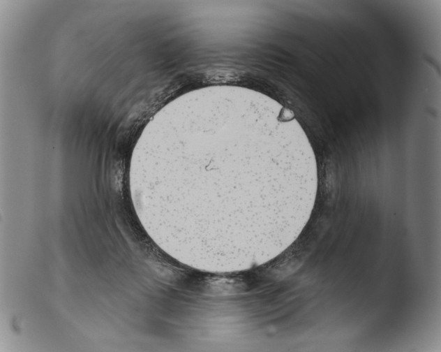 X0000103490315200810241107