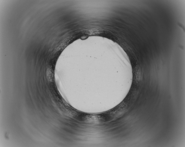X0000103490316200810241107