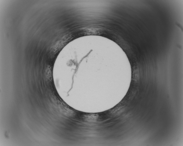 X0000103490318200810241107