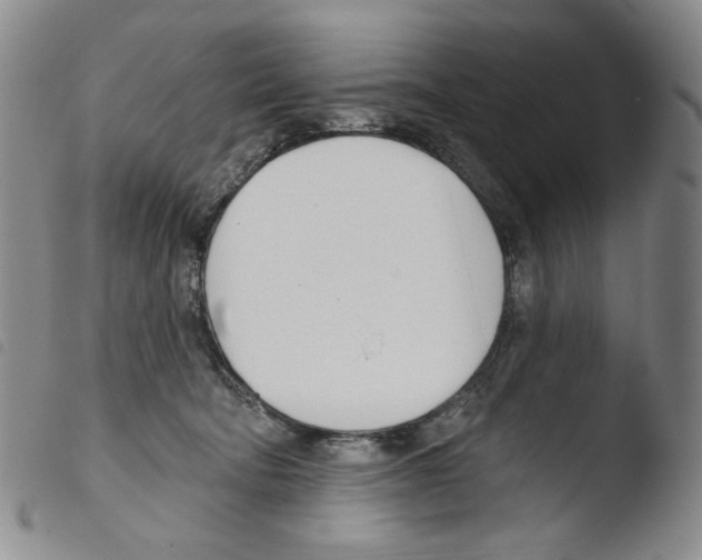 X0000103490322200810241107