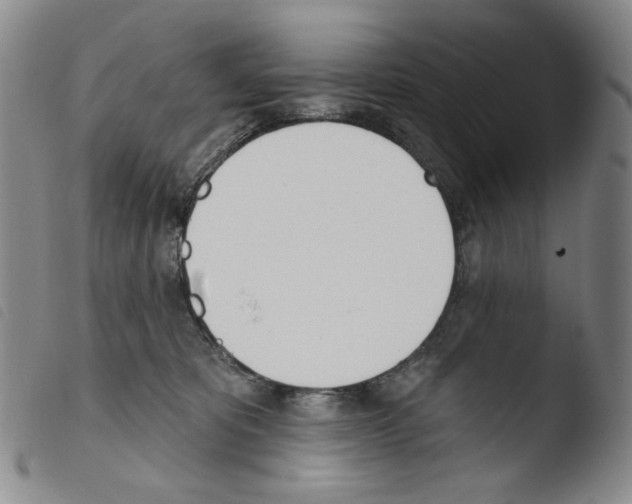 X0000103490325200810241107