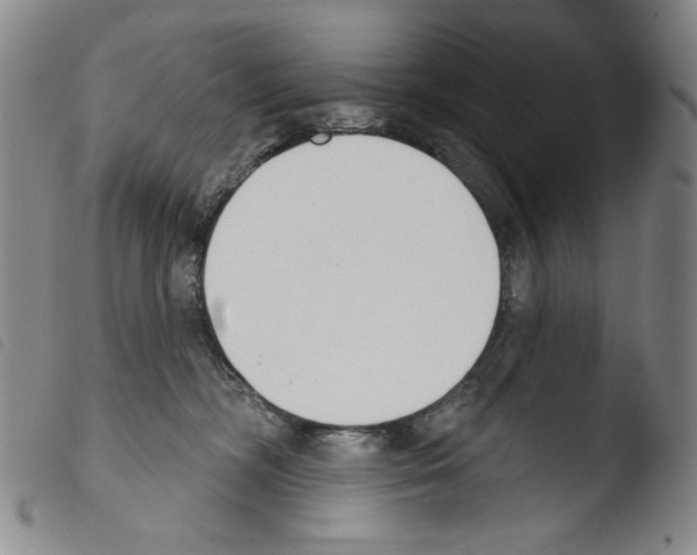 X0000103490326200810241107