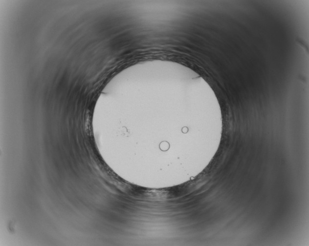 X0000103490328200810241107