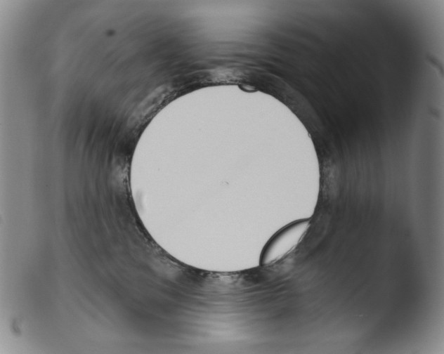 X0000103490329200810241107