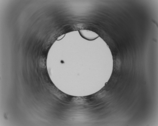 X0000103490331200810241107