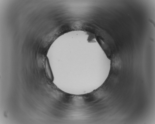 X0000103490332200810241107