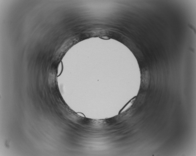 X0000103490333200810241107