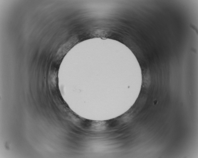 X0000103490334200810241107