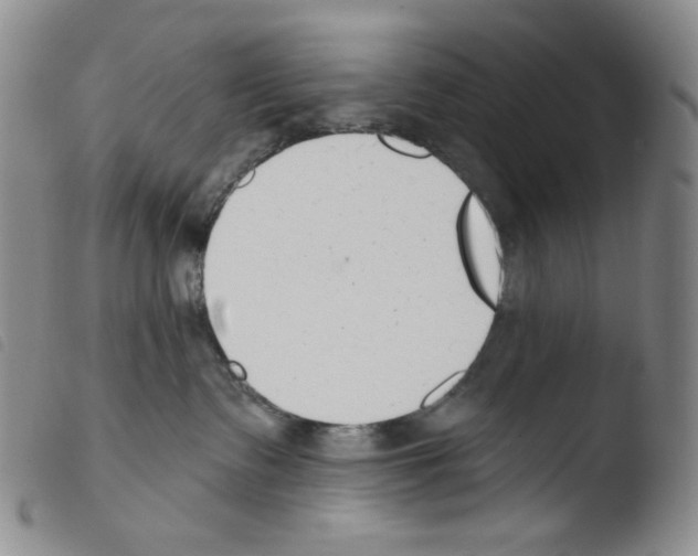 X0000103490335200810241107