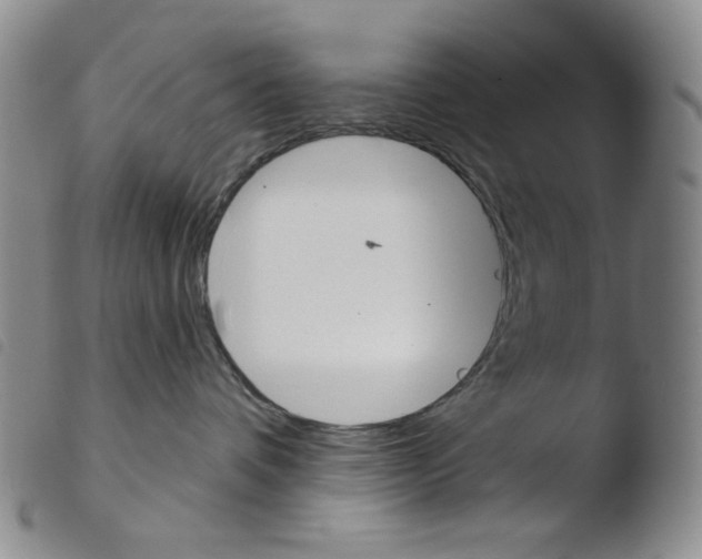 X0000103490336200810241107