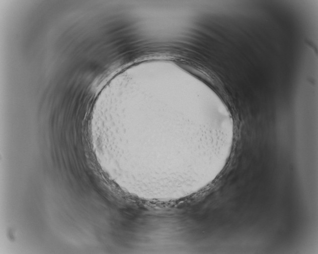 X0000103490337200810241106