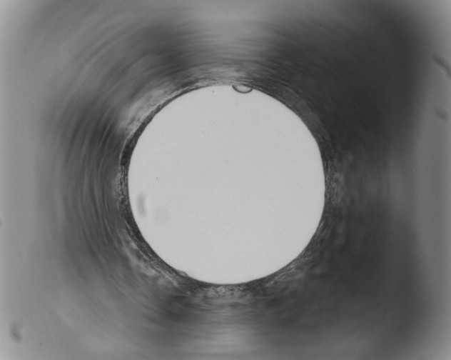X0000103490338200810241106