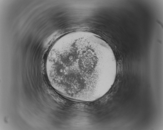 X0000103490339200810241106