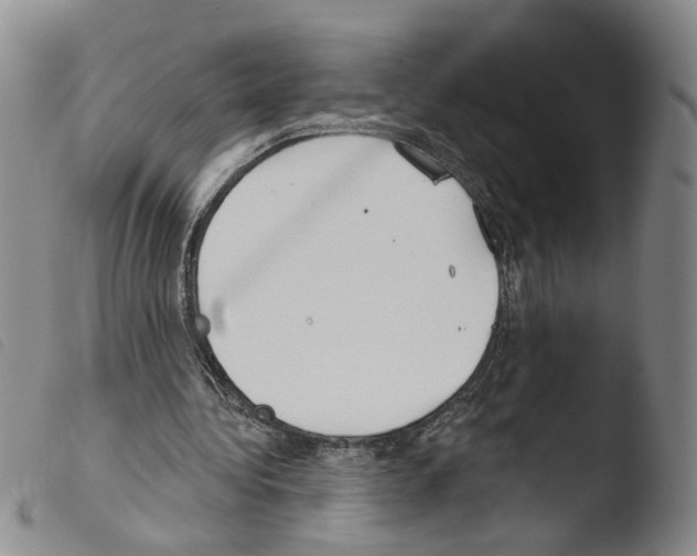 X0000103490340200810241106