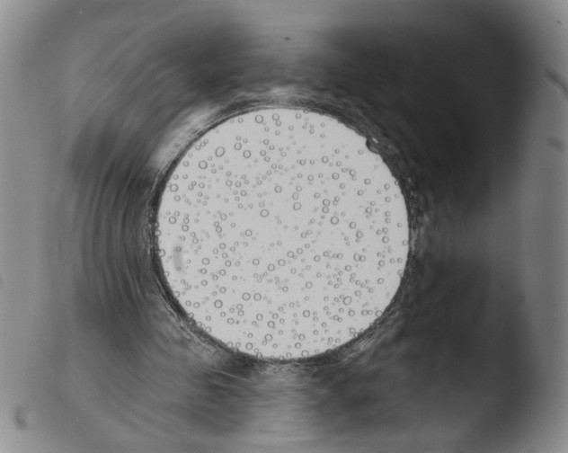 X0000103490341200810241106
