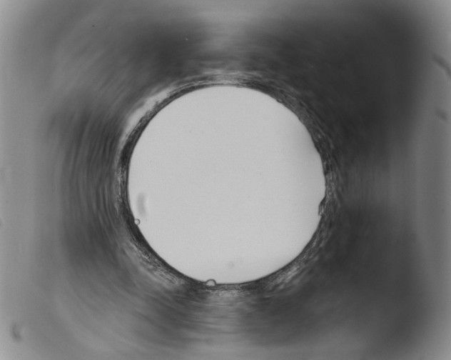 X0000103490342200810241106