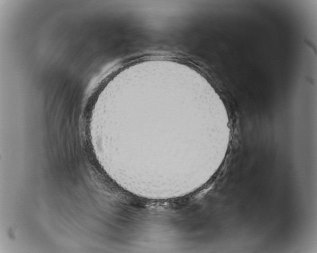 X0000103490343200810241106