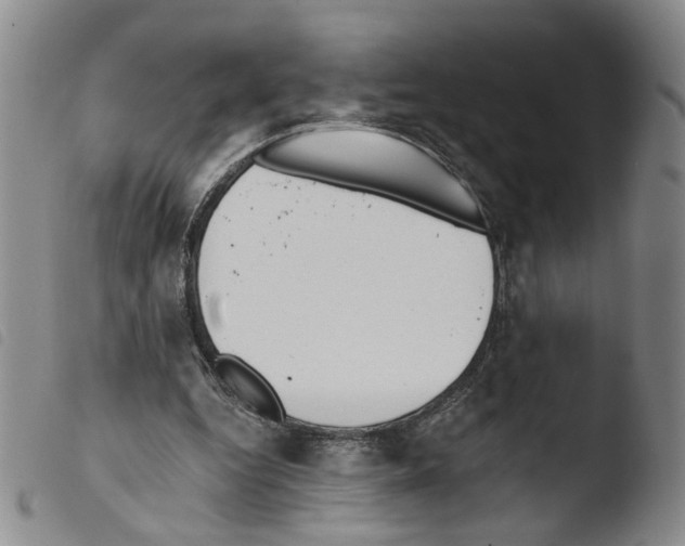 X0000103490344200810241106