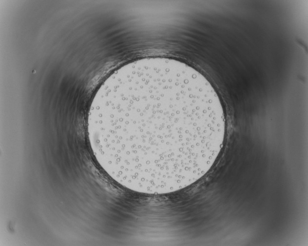 X0000103490345200810241106