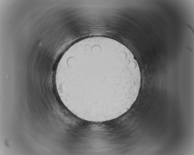 X0000103490346200810241106