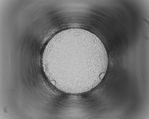 X0000103490347200810241106