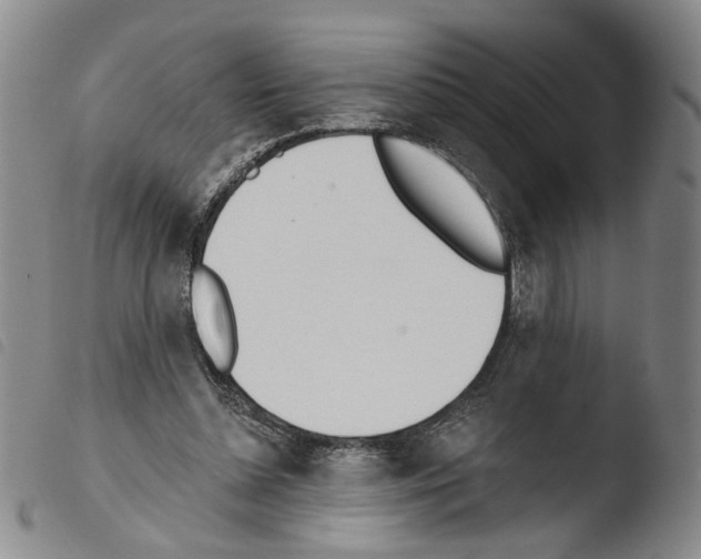X0000103490348200810241107