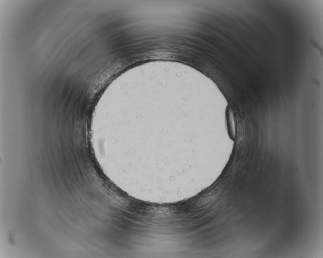 X0000103490349200810241107