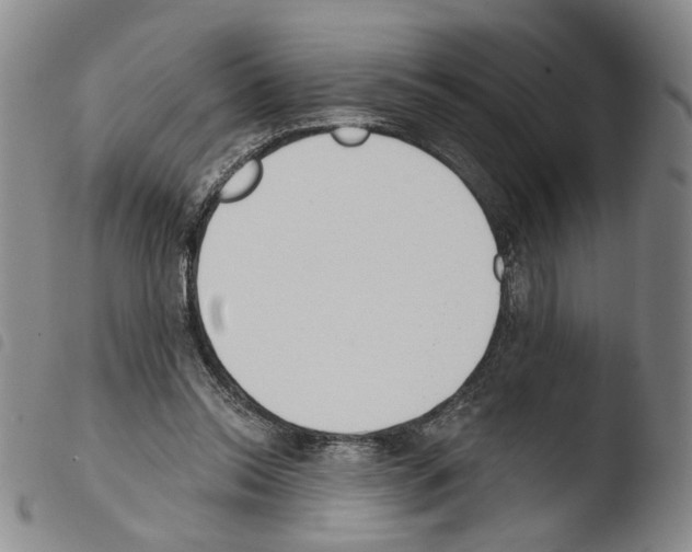 X0000103490350200810241107
