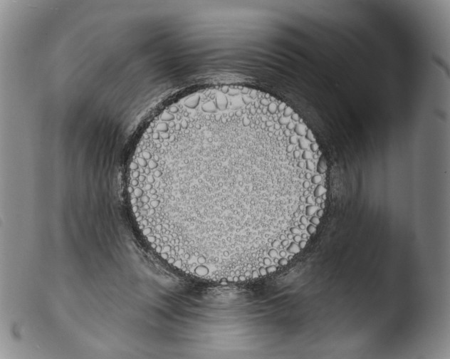 X0000103490351200810241107