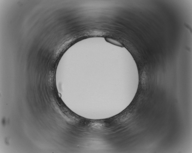 X0000103490352200810241107