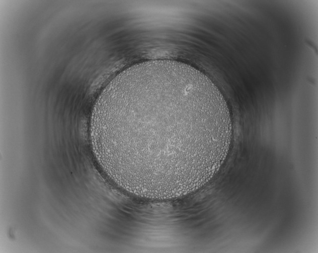 X0000103490353200810241107