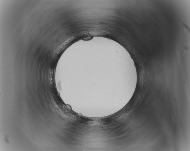 X0000103490356200810241107