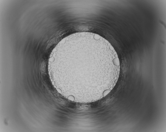 X0000103490359200810241107