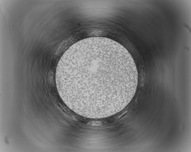 X0000103490361200810241107
