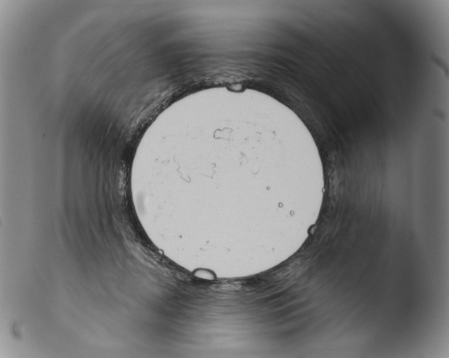 X0000103490362200810241107