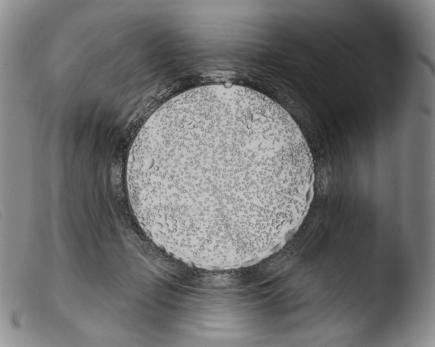 X0000103490365200810241107