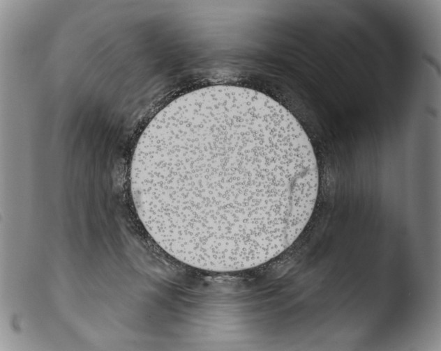 X0000103490367200810241107