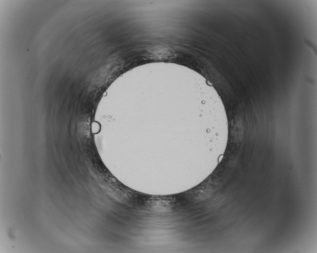 X0000103490368200810241107