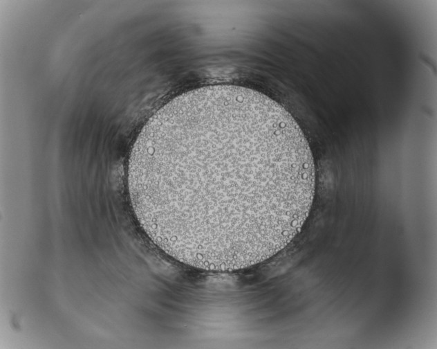 X0000103490369200810241107