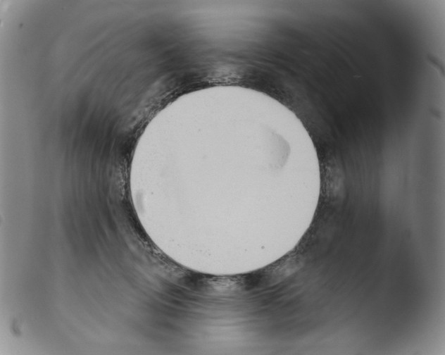X0000103490370200810241107