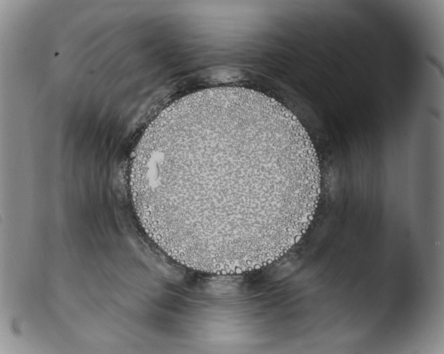 X0000103490373200810241107