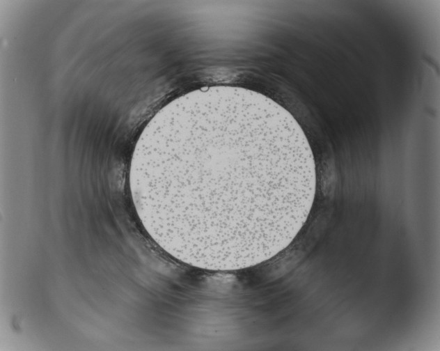 X0000103490374200810241107