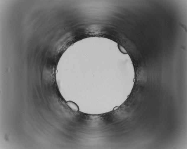 X0000103490376200810241107