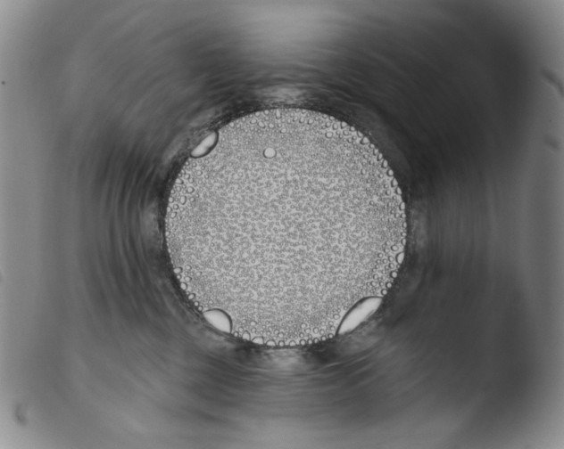 X0000103490377200810241107