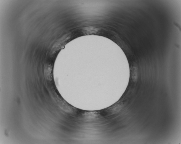 X0000103490378200810241107