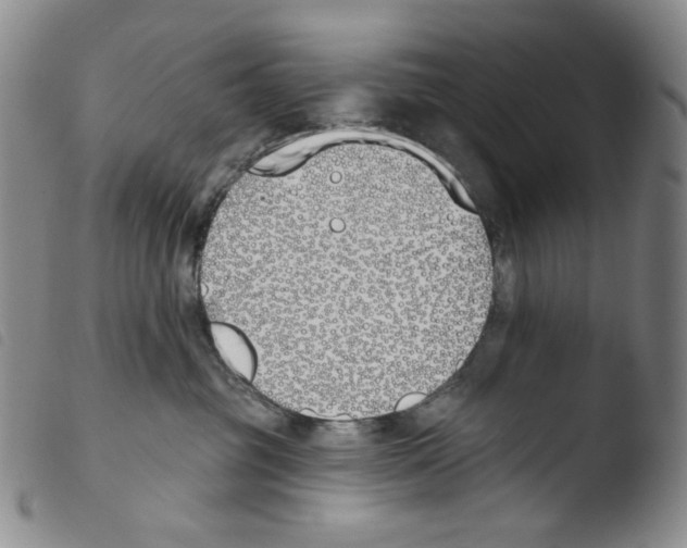 X0000103490381200810241107
