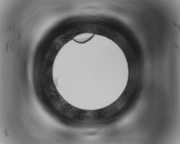 X0000103490383200810241107
