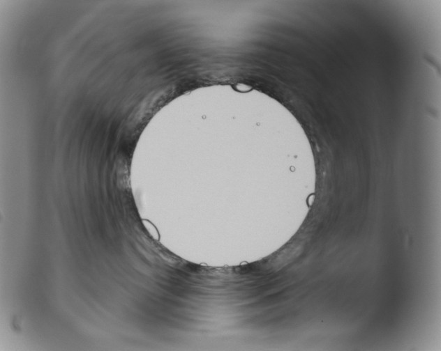 X0000103490384200810241107