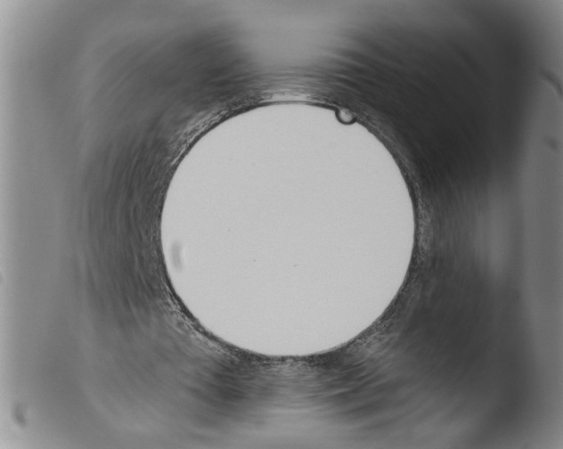 X0000103490385200810241106
