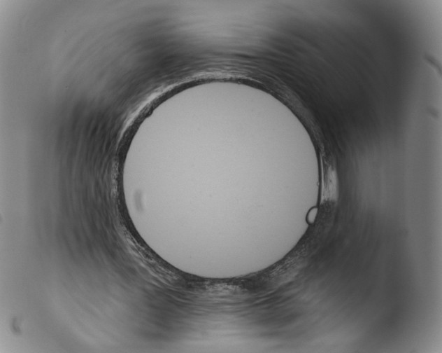 X0000103490387200810241106